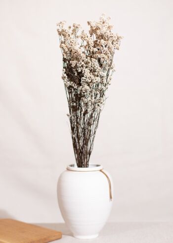 Fleurs séchées - Limonium blanc 1