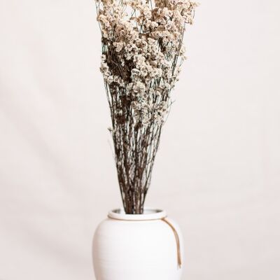 Fleurs séchées - Limonium blanc