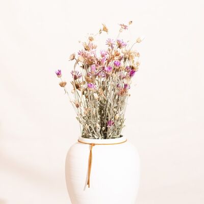 Flores secas - Siempreviva Lumina violeta