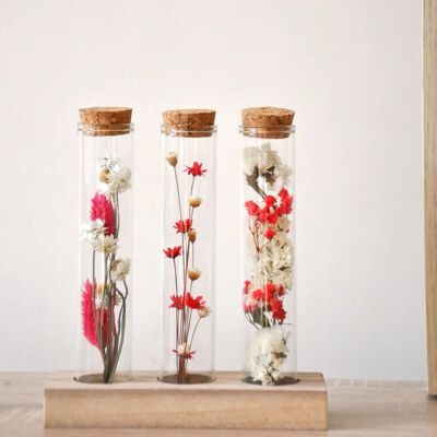 Trio de tubes bouquets fleurs séchées