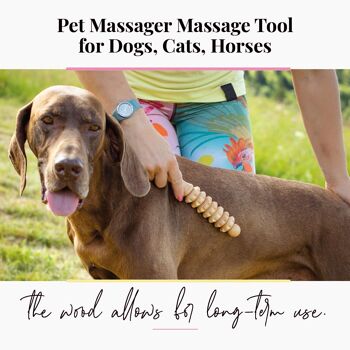 Outil de massage en bois pour animaux de compagnie, pour chiens, chats et chevaux 10