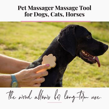 Brosse de massage en bois pour chiens, chats, chevaux, massage pour animaux 10