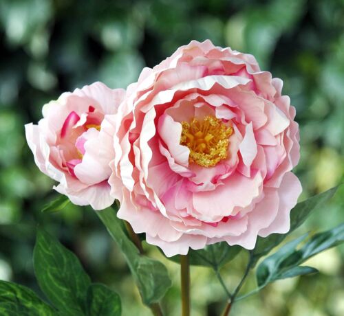 Artificial Full blown peony  with a large bud in mixed pinks