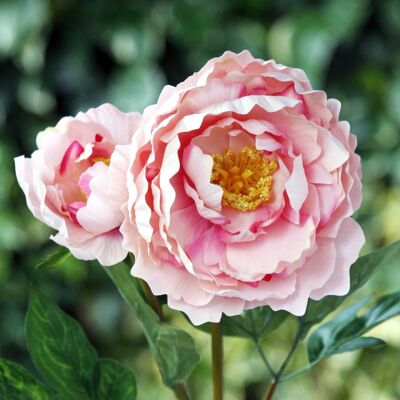 Artificial Full blown peony  with a large bud in mixed pinks