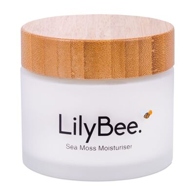 LilyBee Limited