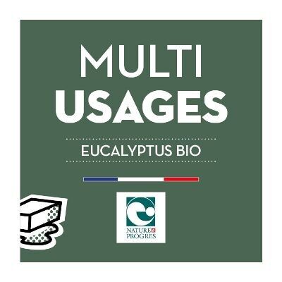 Detergente multiuso all'eucalipto - Biologico - BIB 10L