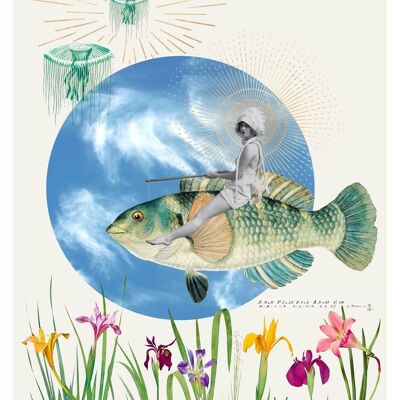 Poster Giro del pesce
