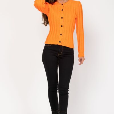VESTE HH8164C