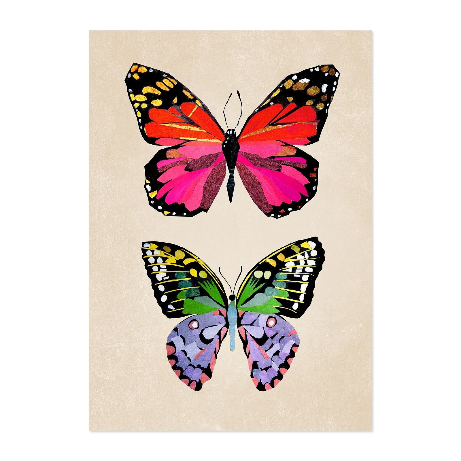 A4 picture butterflies for children and teenagers