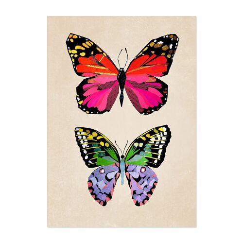 A4 Bild Schmetterlinge für Kinder und Jugendliche