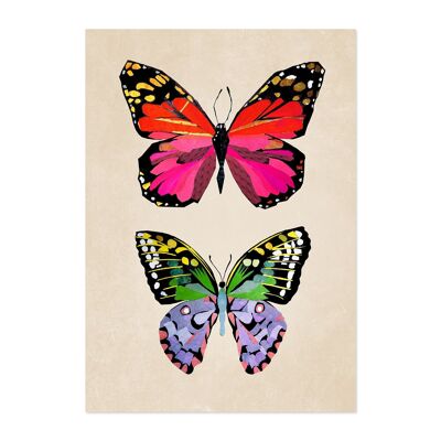 A4 Bild Schmetterlinge für Kinder und Jugendliche