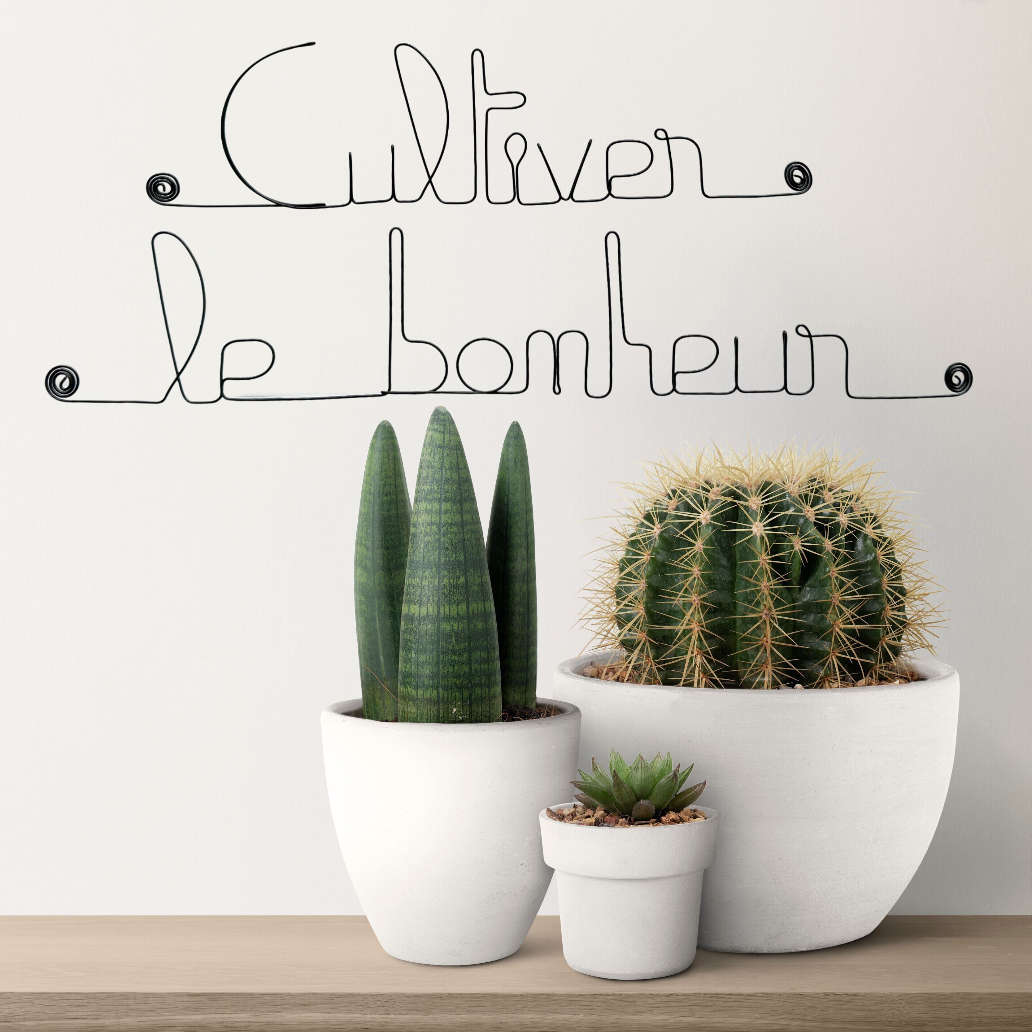 Décoration Murale en fil de fer " Cultiver le bonheur " à punaiser sur un mur de la maison