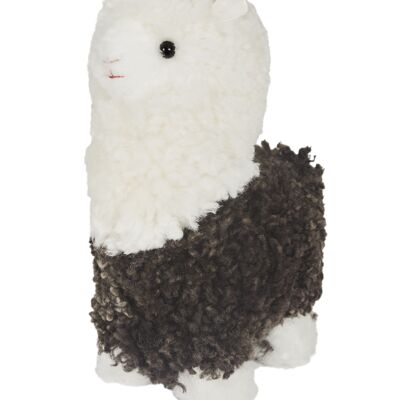 Mini Alpaga "Ally" peau de mouton frisée_Marron/Blanc_Gift