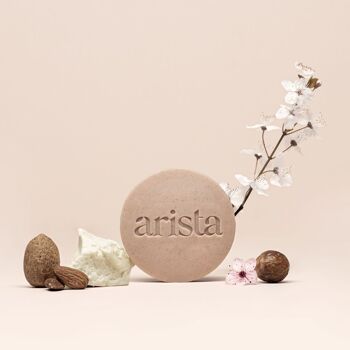 Arista Ayurveda - Solid Shampoo for Curly Hair 2