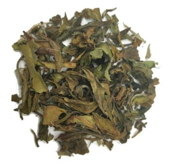 Bai Mu Dan - Recharge 100g 2