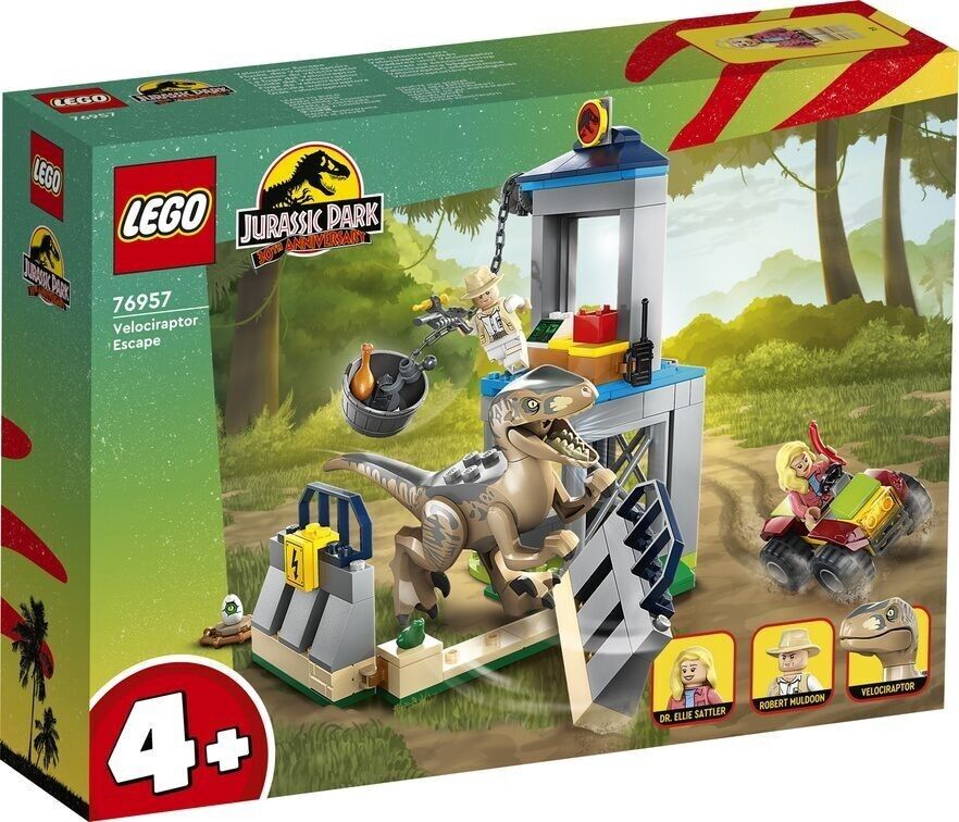 Wholesale store lego sets