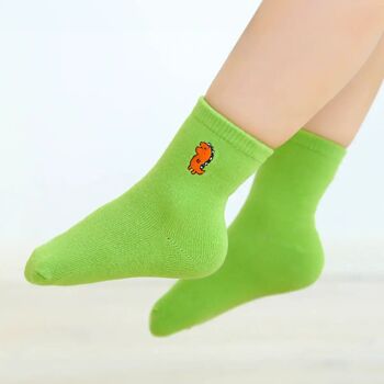 Chaussettes Longues Dino Enfants (Lot 5 paires) 2