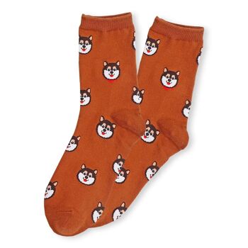 Chaussettes Chiens 3