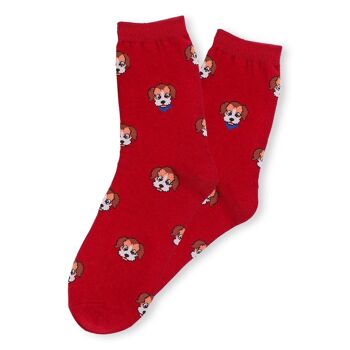 Chaussettes Chiens 5