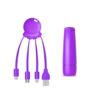 Pacchetto Powerbank After-Work 2600mAh Viola