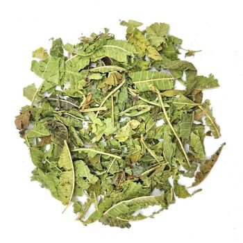 Verveine citronnée - Paquet de vente au détail de 20 g 4