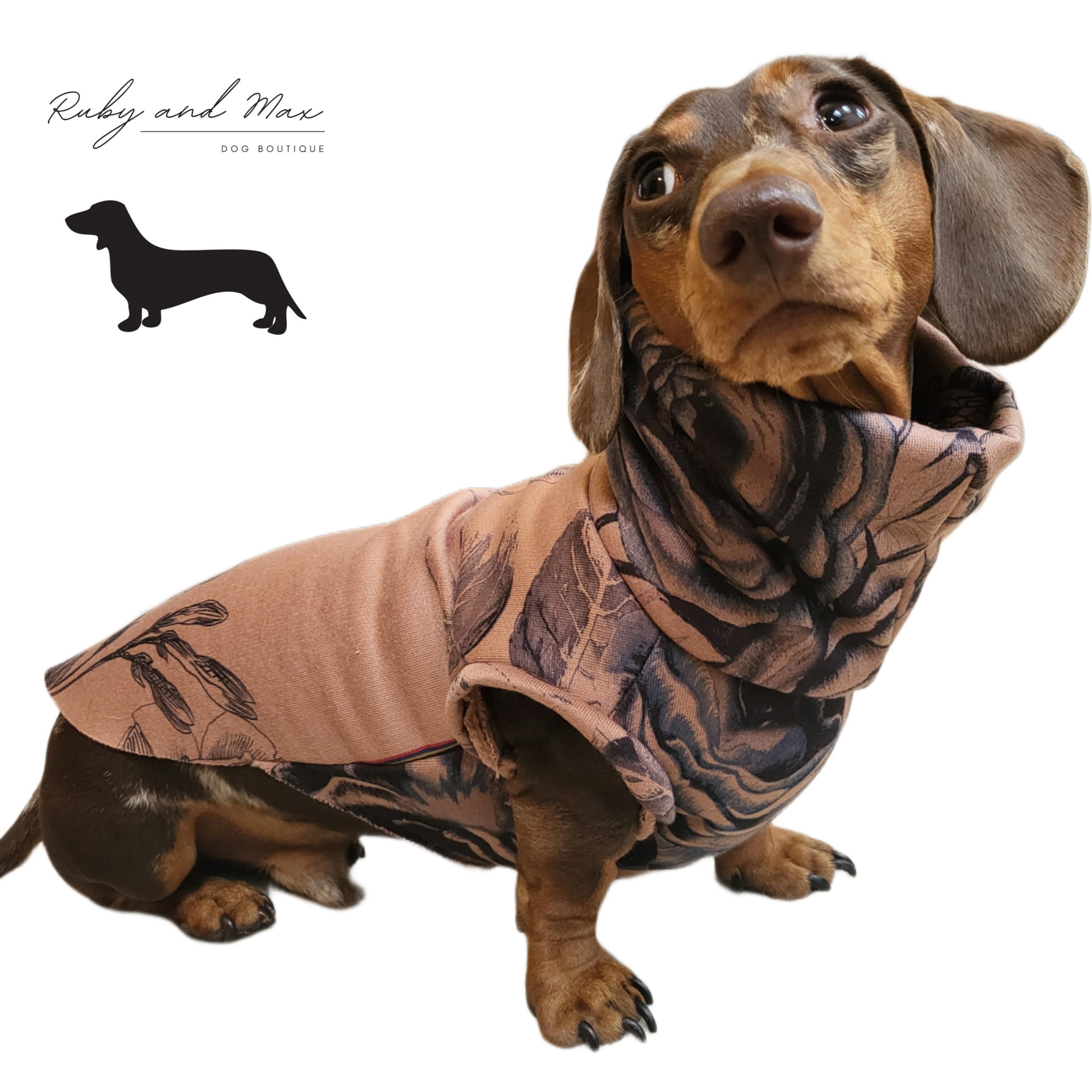 Oasis sausage hotsell dog jumper