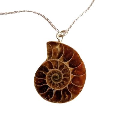 Collier de tranches d'ammonite fossile - Madagascar