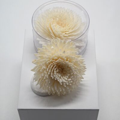 Sola Wood Flower Diffuser Reed With Cotton Wick