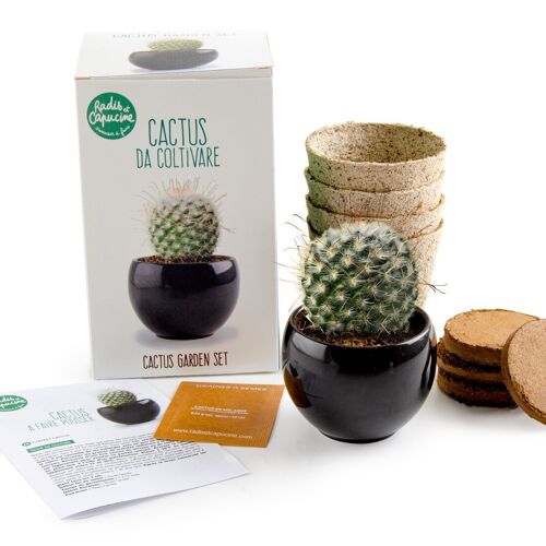 Kit Cactus à faire pousser