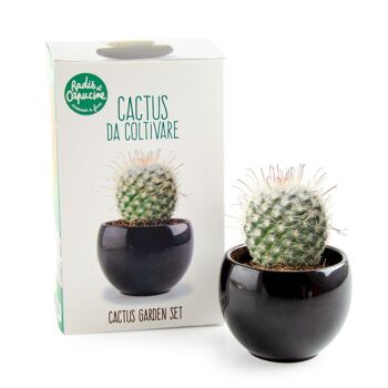 Kit Cactus à faire pousser 2