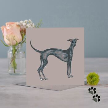 Simplement Greyhound Carte de vœux