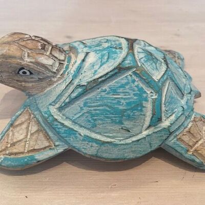 turtle in wood