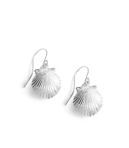 Silver seashell earrings