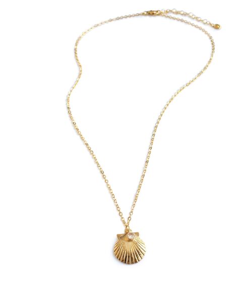 Short gold seashell necklace