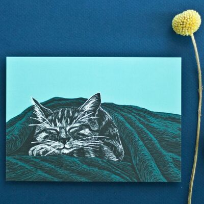 Cartolina | Gatto addormentato