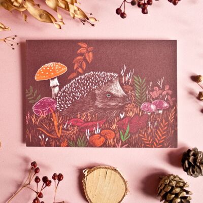 Postcard | Hedgehog