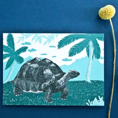 Postkarte | Schildkröte
