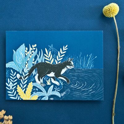 Carte postale | Chat au bord du lac
