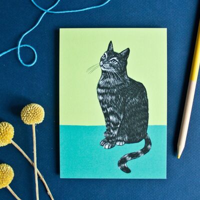 Postkarte | Katze