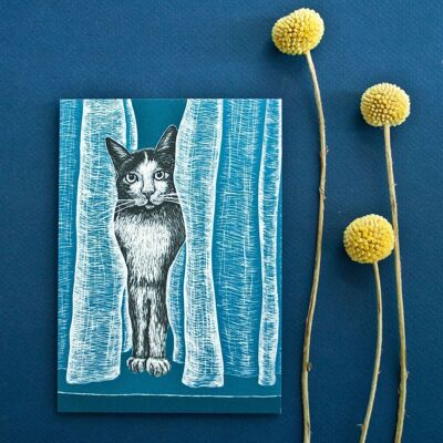 Postkarte | Katze am Vorhang