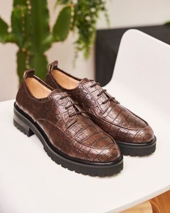 Camden Croco Choco 2