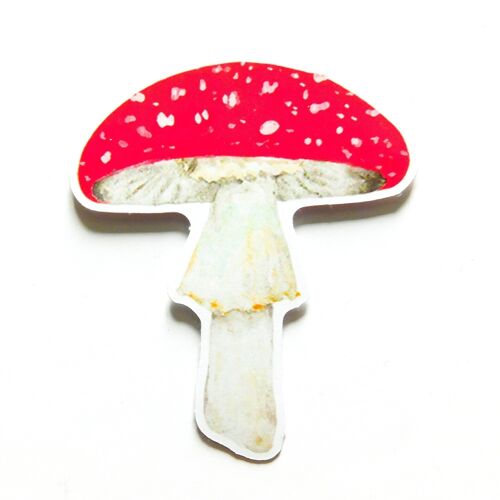 Fungi Fly Agaric Mushroom Sticker - A6 Eco Paper Sticker