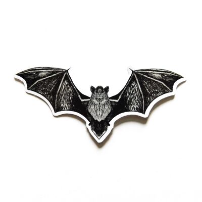 Adesivo pipistrello Chiroptera Pipistrelle - Adesivo in carta ecologica A6