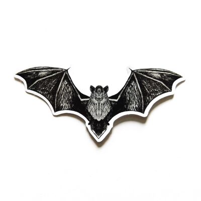 Autocollant de chauve-souris Chiroptera Pipistrelle - Autocollant en papier écologique A6