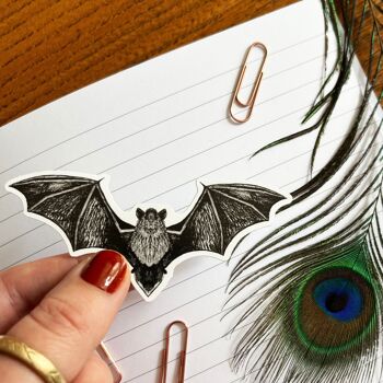 Autocollant de chauve-souris Chiroptera Pipistrelle - Autocollant en papier écologique A6 2