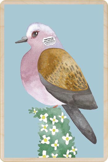 Carte postale en bois TORTUE SUR HAIE Carte Oiseau 2