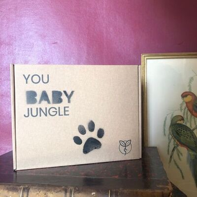 youBOXjungle classic SURPRISE