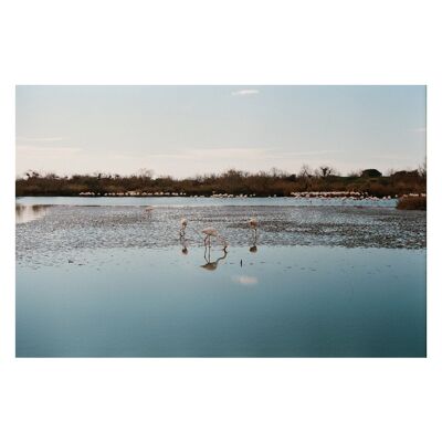 Photographie - AWA Arles Camargue - Art Print - Pont de Gau

        

        



