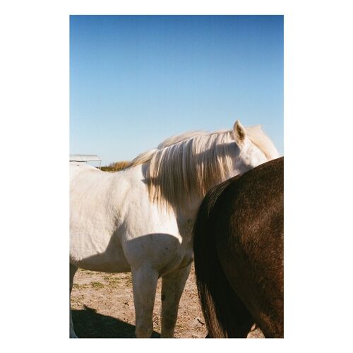 Photographie - AWA Arles Camargue - Art Print - Les chevaux

        

        



