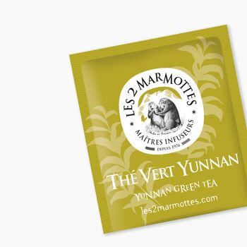 Les 2 Marmottes Thé Vert Yunnan - Thé vert Yunnan 100% BIO - Energisant et tonique - Pour le petit-déjeuner - 30 Sachets par boite - Made in France - 58g 2